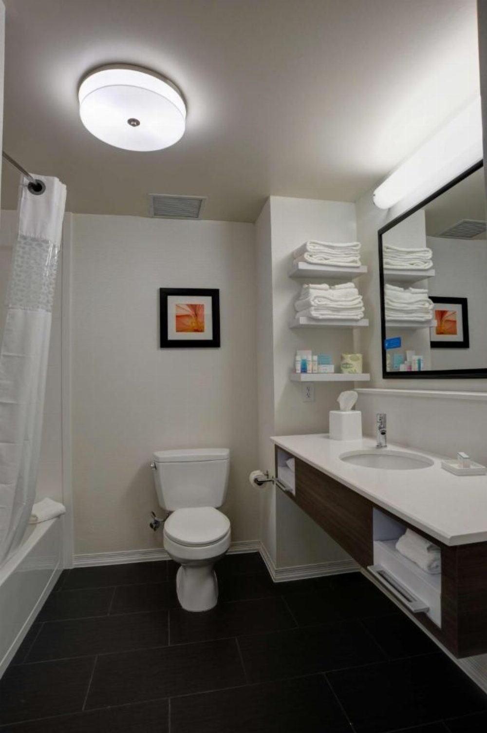 Hampton Inn By Hilton and Suites Ardmore, OK Image 15